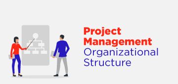 Project Management Organizational Structure: Types & Examples